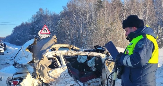 Автомобилем управляет водитель