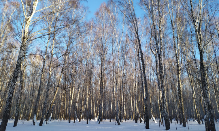 Фото Екатерины Христозовой