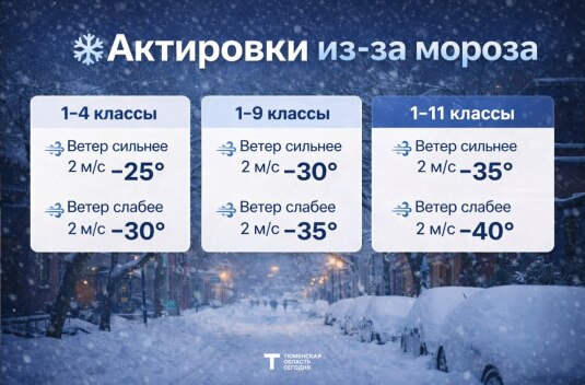 В школах Тюменской области из-за морозов отменили занятия первой смены