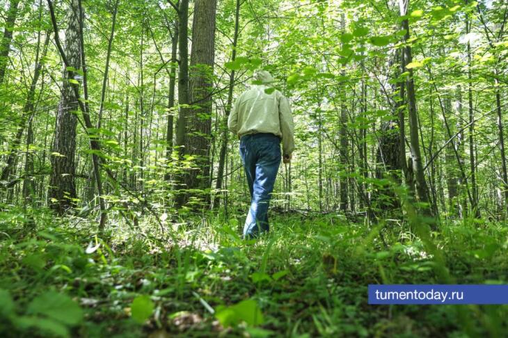 Полицейские спасли троих заблудившихся грибников в курганском лесу