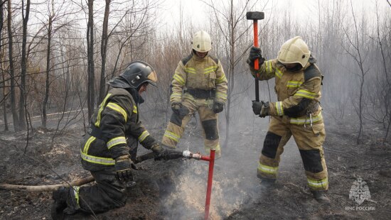 Специалисты МЧС из других регионов помогают тушить пожары в Тюменской области