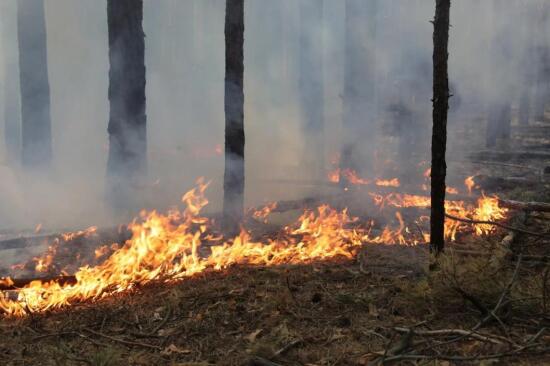 Тюменские десантники-пожарные в Якутии тушат свыше 10 тысяч га леса