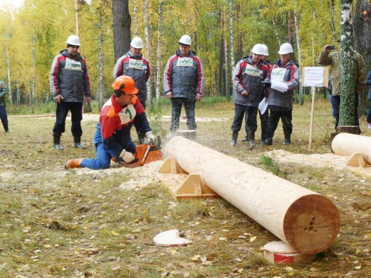 «Привыкли руки к топорам!»