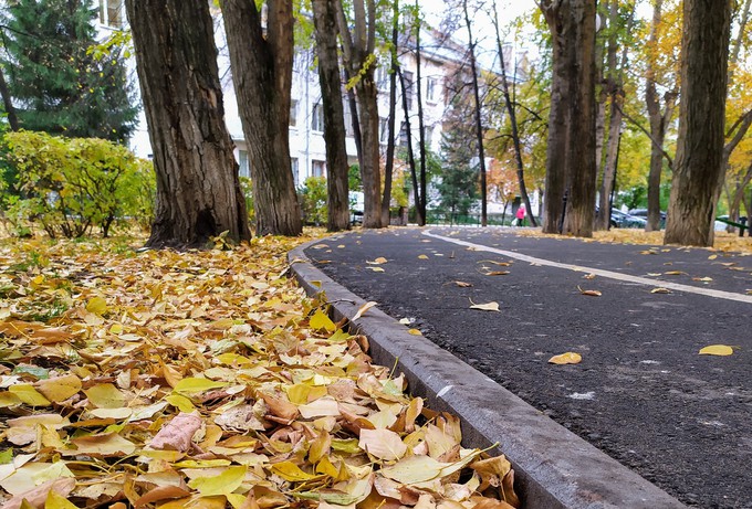 Фото Елены Рочевой