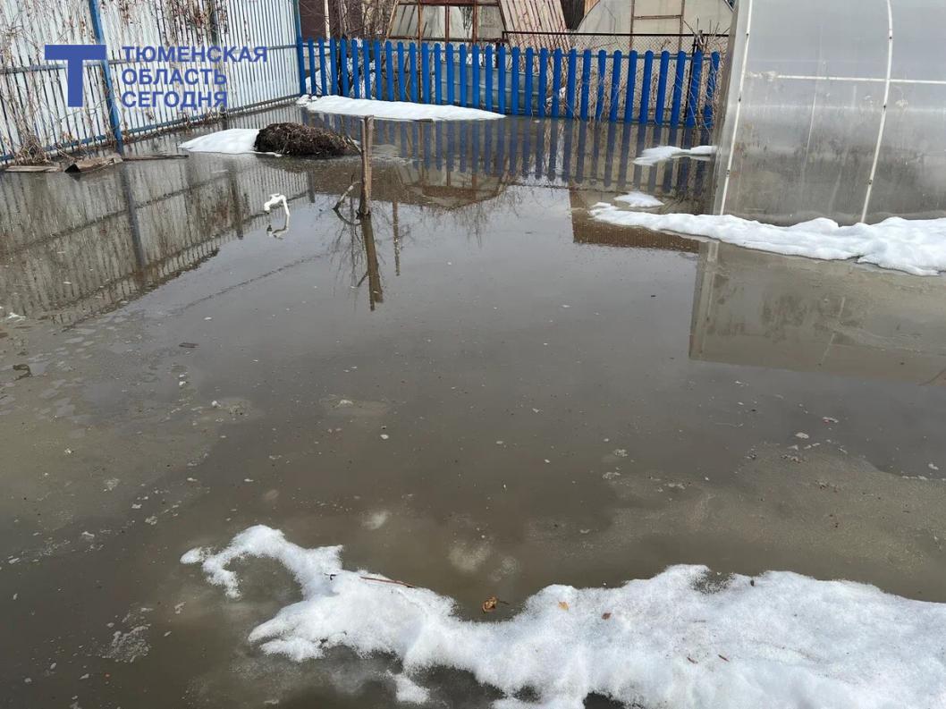 Фото Сергея Куликова 