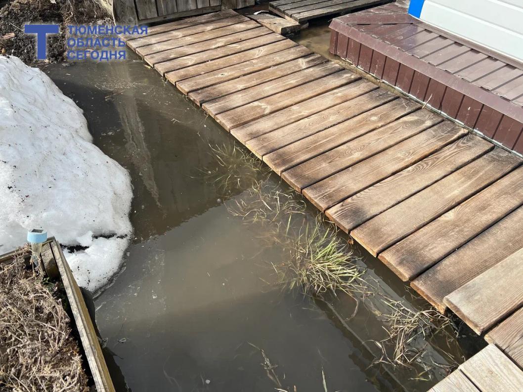 Фото Сергея Куликова 