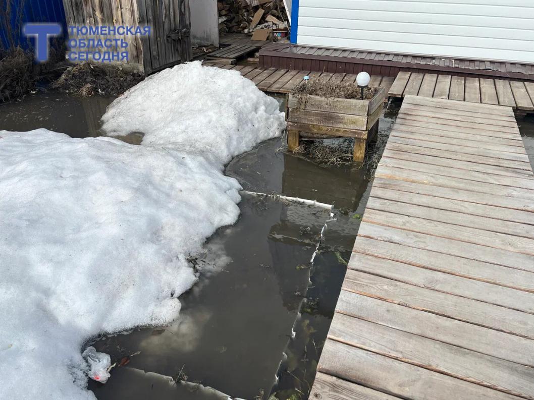 Фото Сергея Куликова 