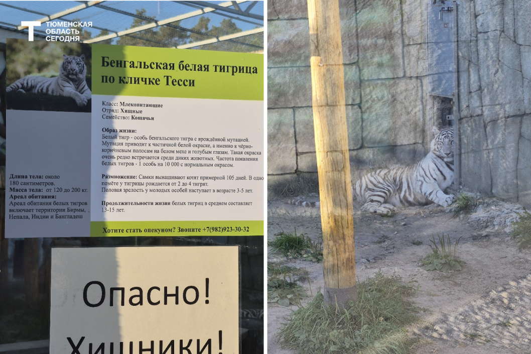 Фото Елены Ковалевой