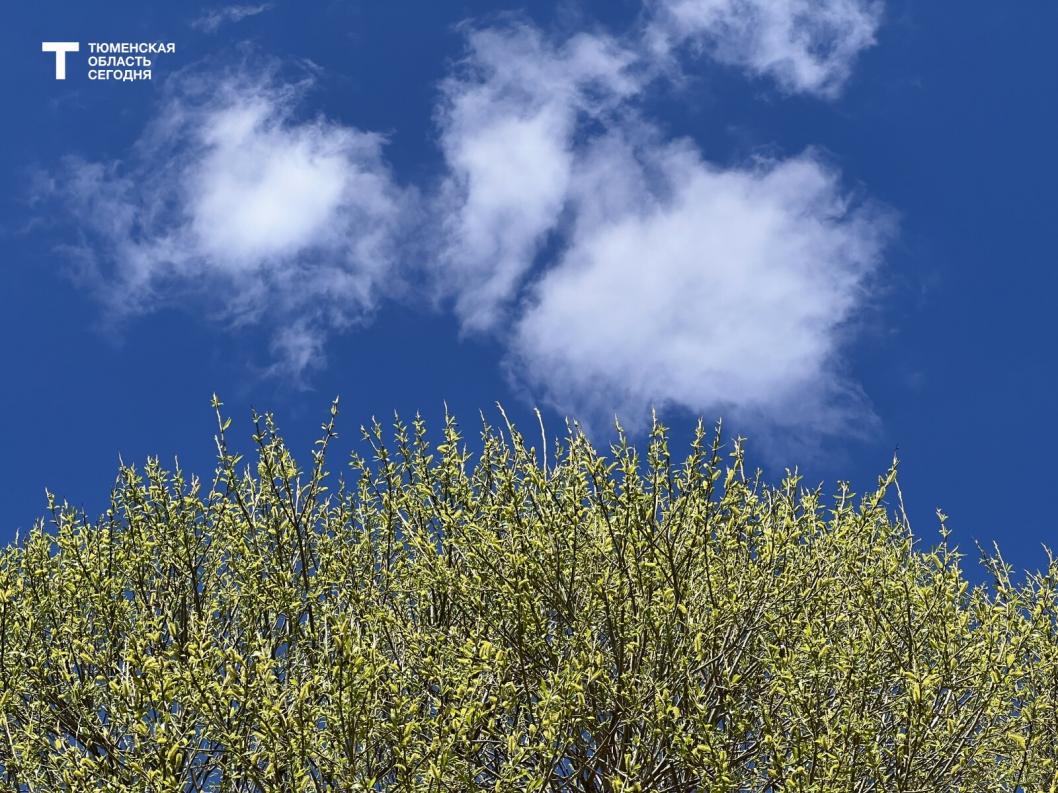 Режим беспилотной опасности отменен в Тюменской области