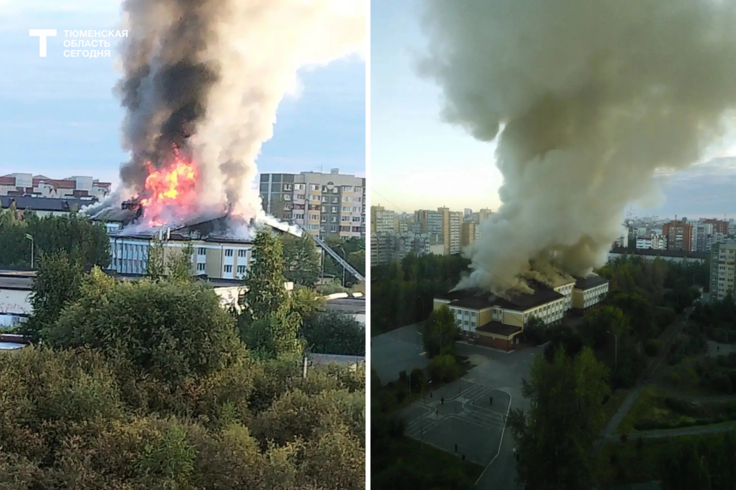 Фото читателей издания «Тюменская область сегодня»