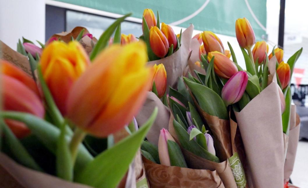 Какие цветы подарить на 8 марта: рекомендации флористов