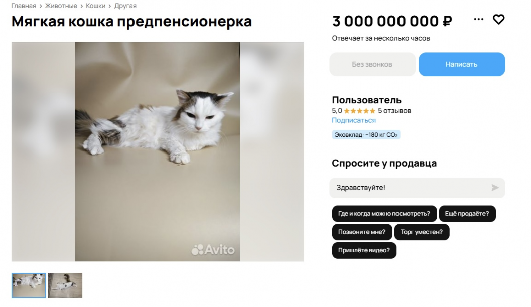 Фото: Avito