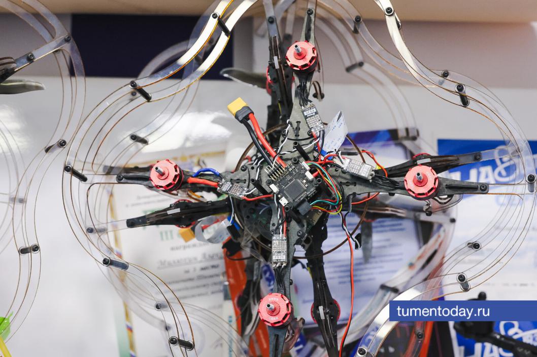 Фото Дениса Моргунова