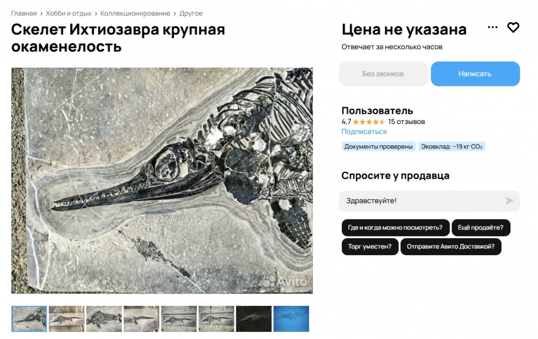 Фото: Avito