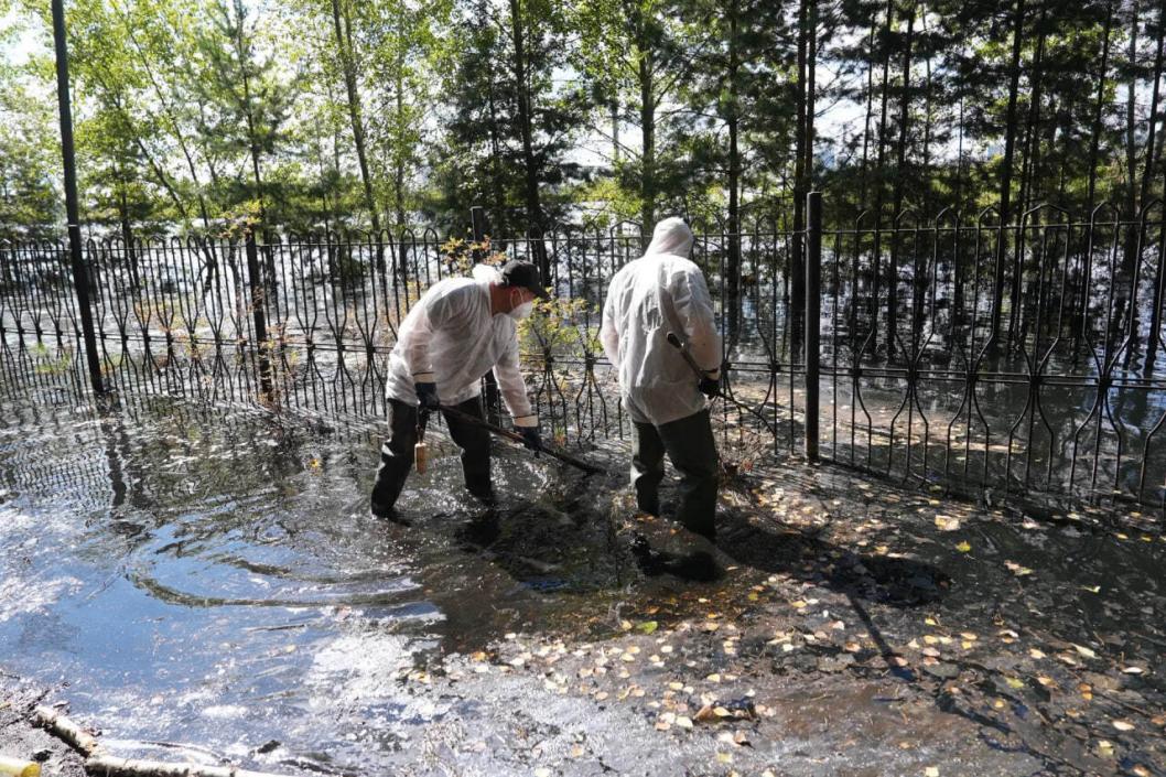 Четыре тонны погибшей рыбы собрали на озере Круглом