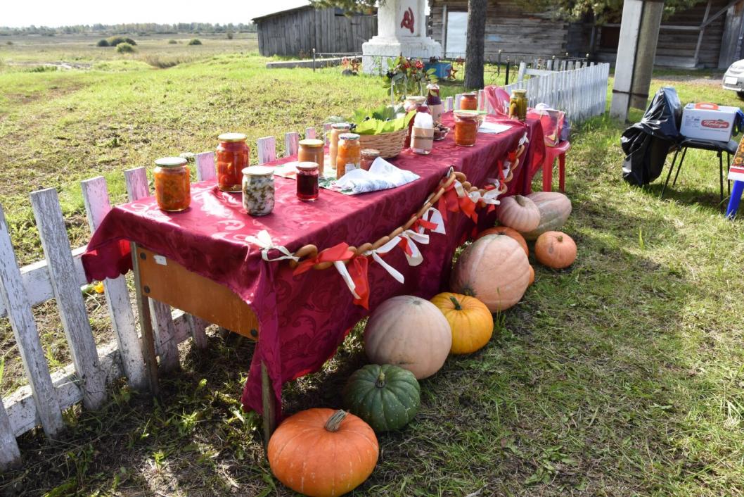 Фото: «Ярково Медиа»