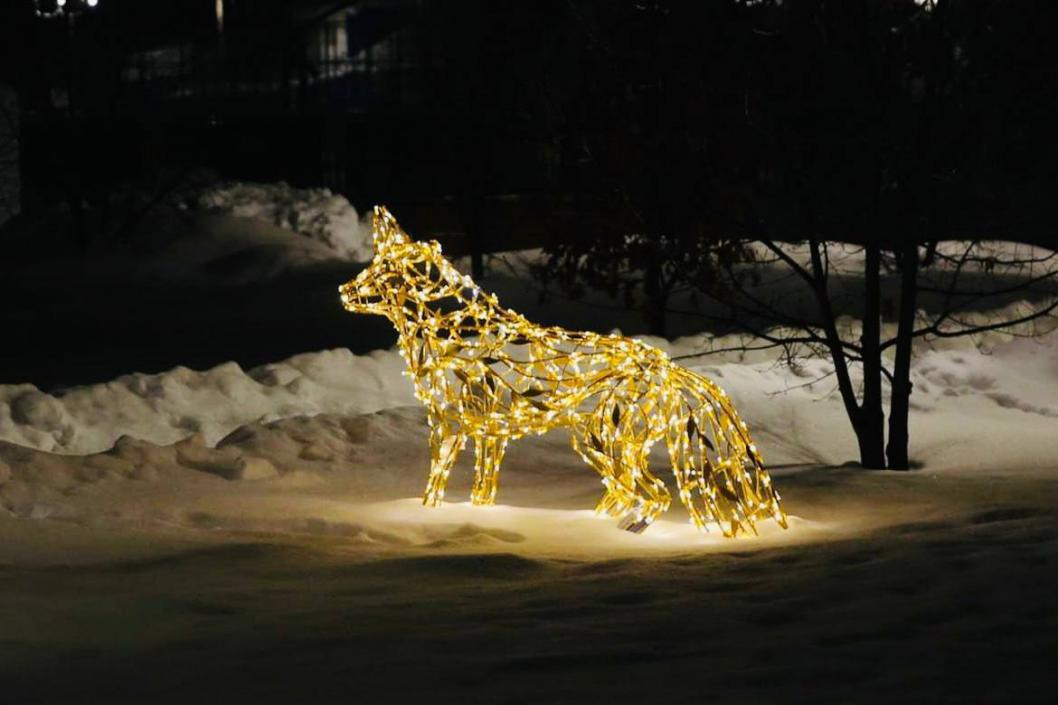 Фото из телеграм-канала Петра Вагина