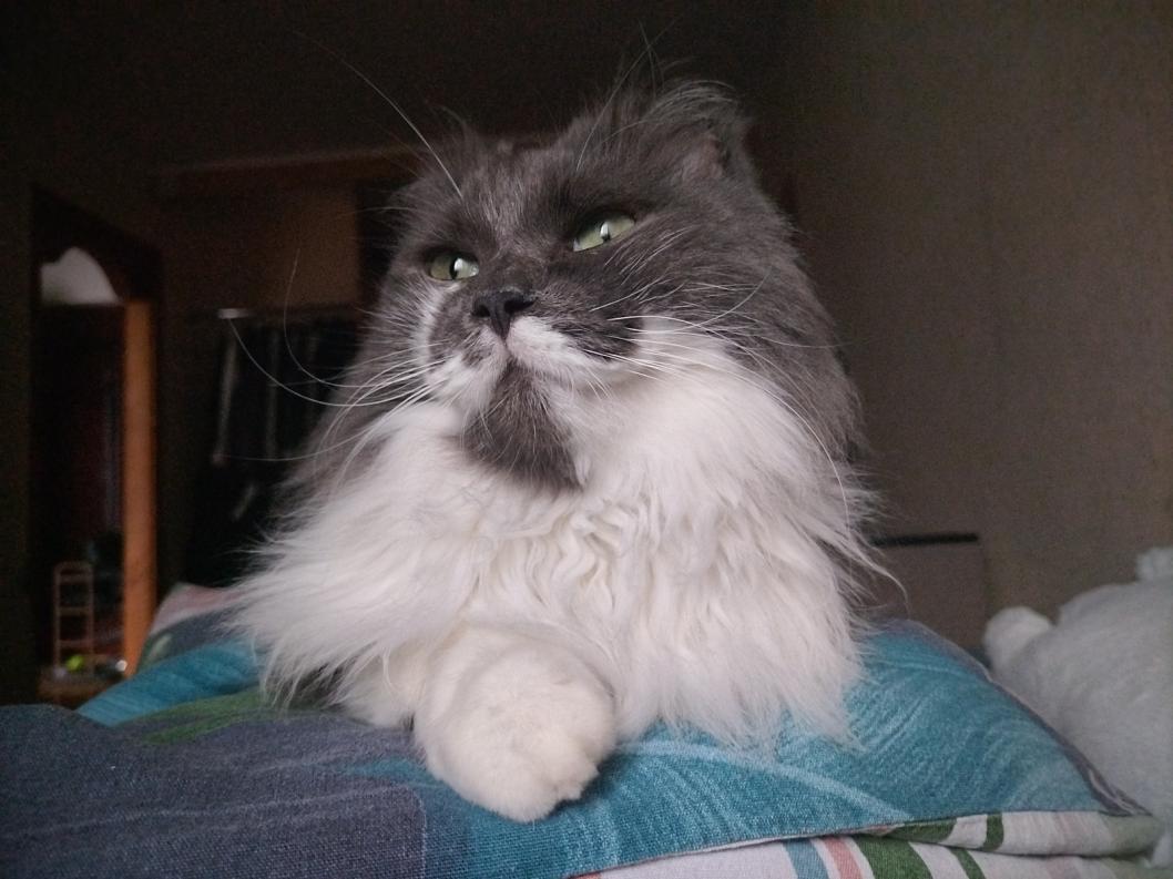 Фото из личного архива Ирины Лумповой