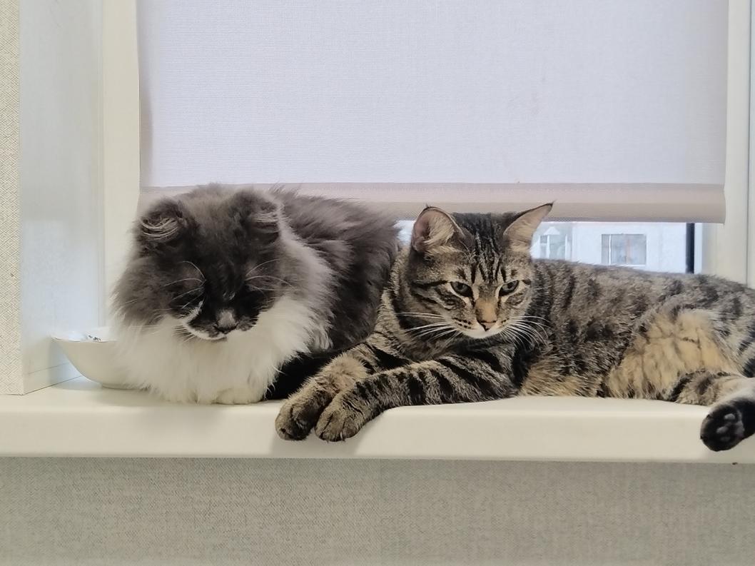 Фото из личного архива Ирины Лумповой