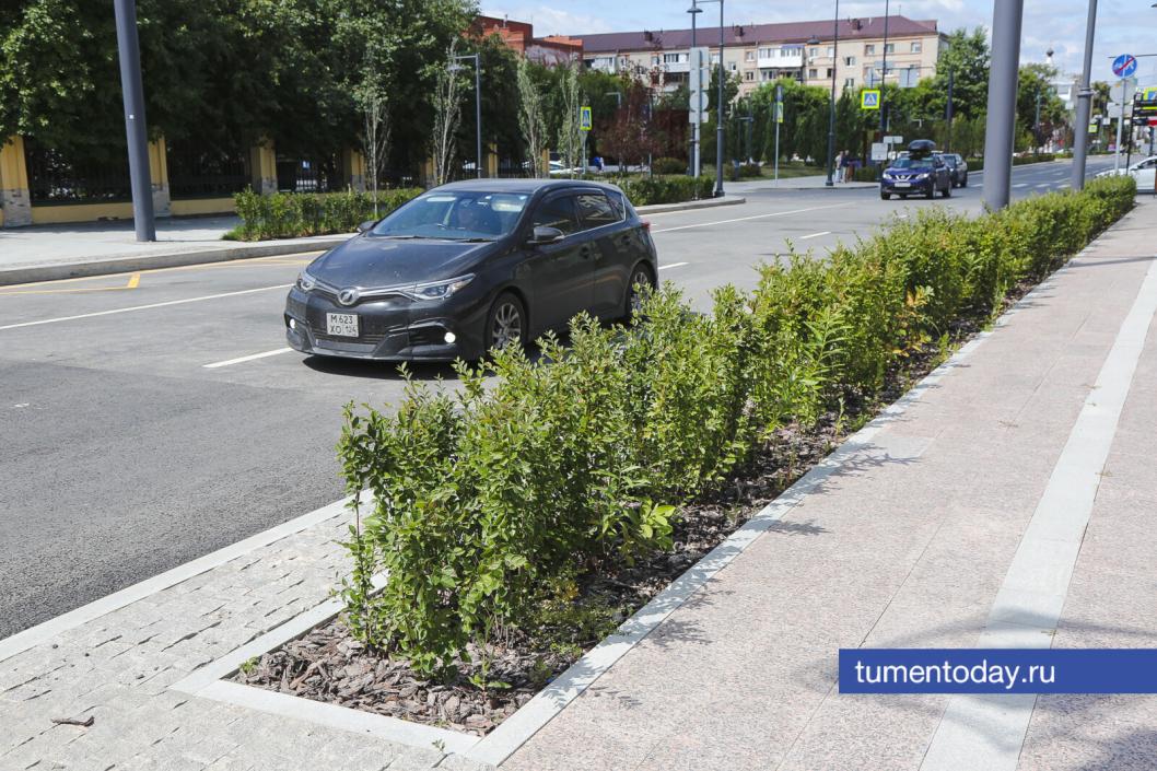 Фото Дениса Моргунова