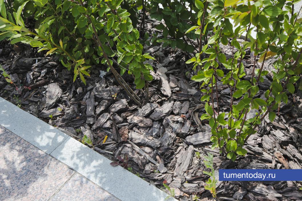 Фото Дениса Моргунова