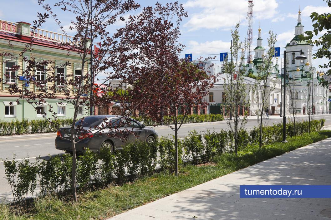 Фото Дениса Моргунова