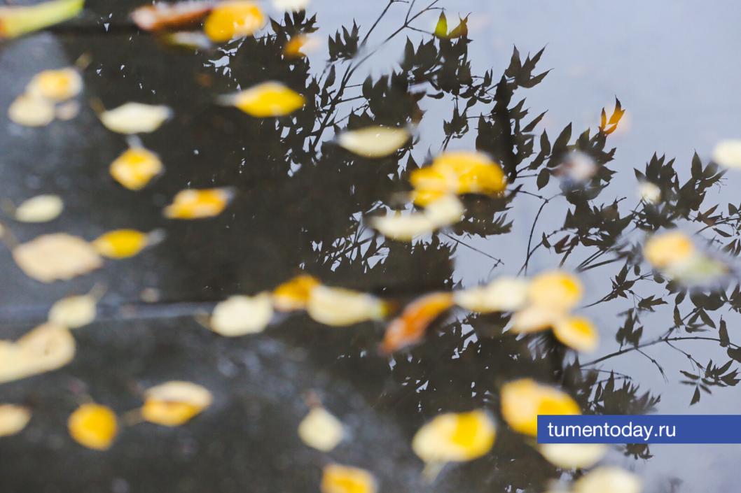 Фото Дениса Моргунова