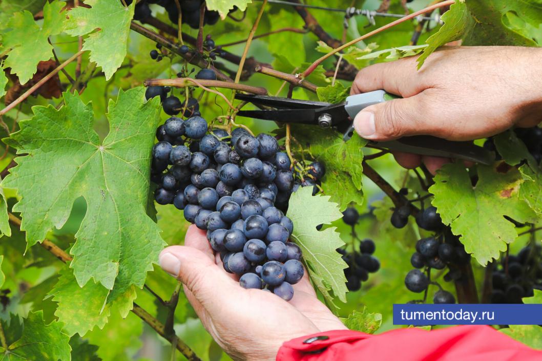 Фото Дениса Моргунова