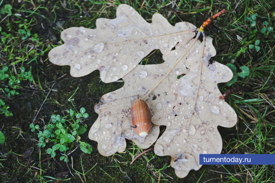 Фото Дениса Моргунова