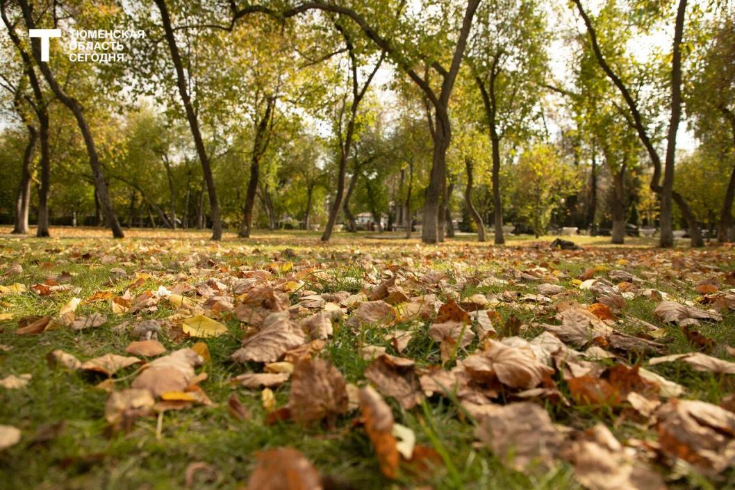 Фото Сергея Куликова