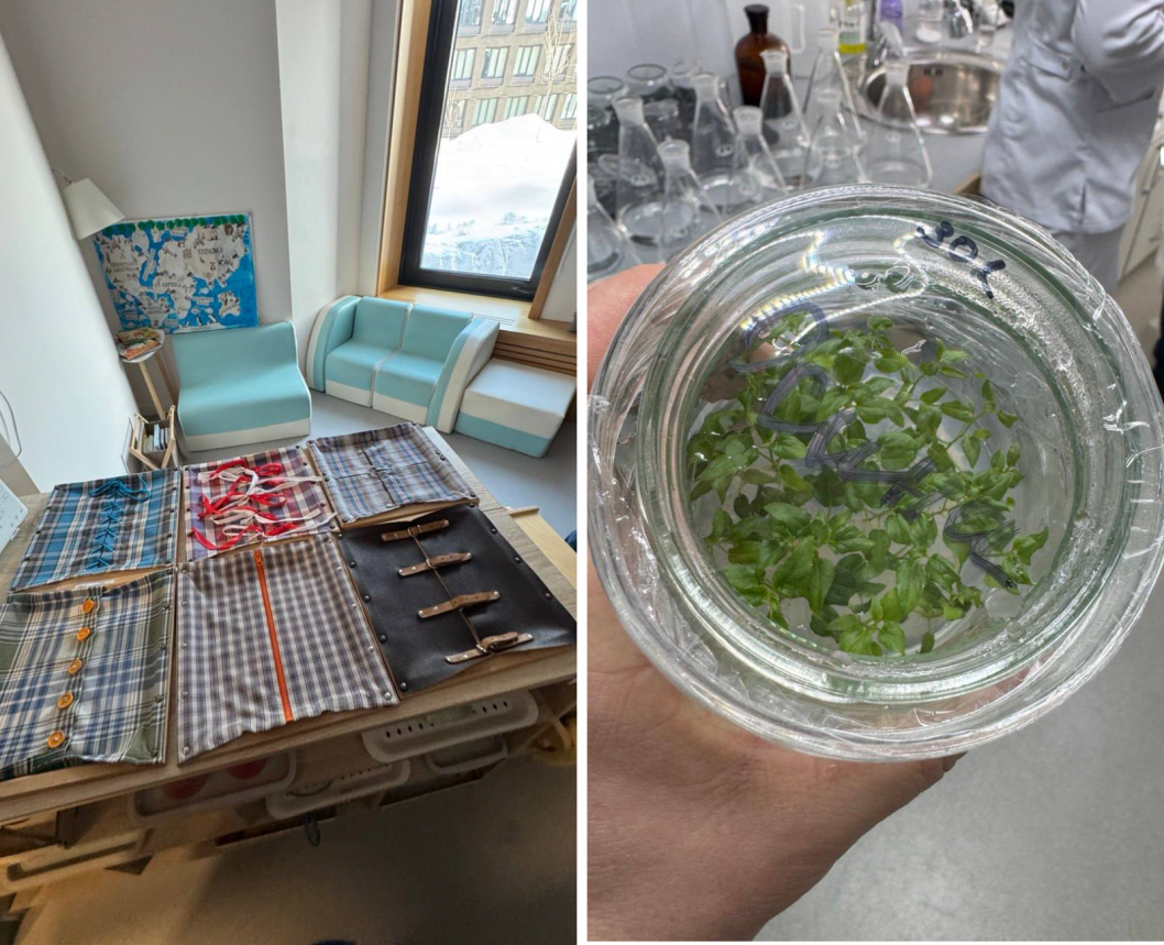 Фото из телеграм-канала Андрея Пантелеева, автор неизвестен