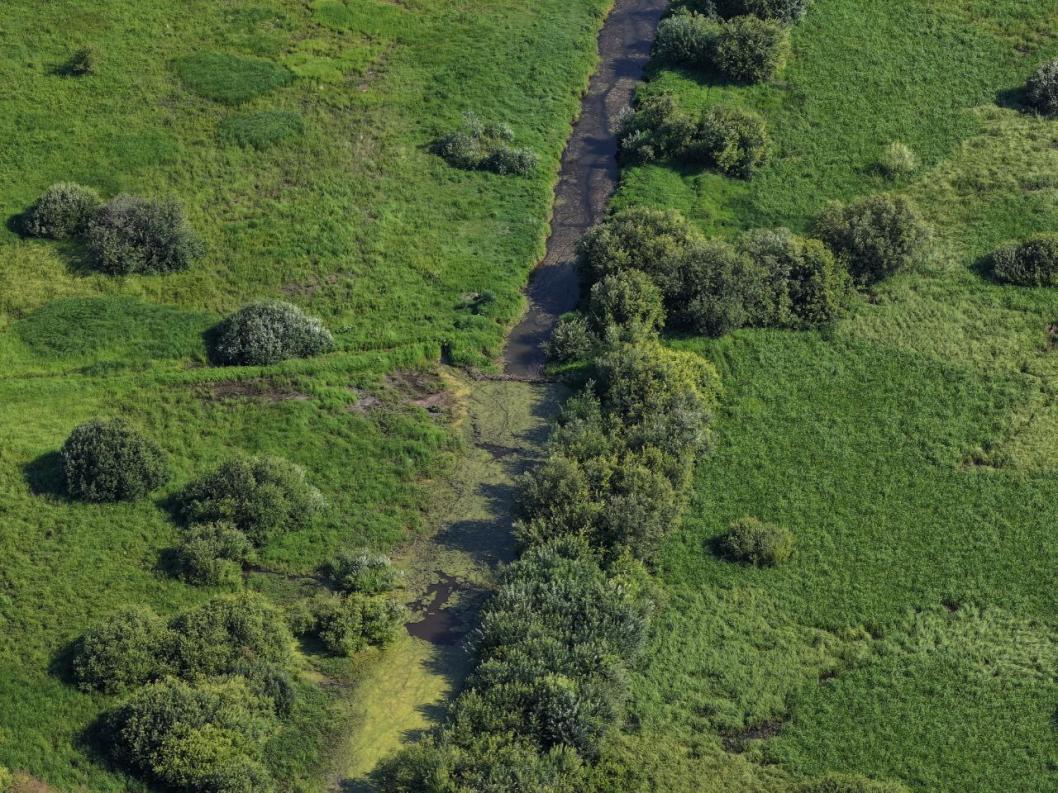 Фото из телеграм-канала Андрея Лотова