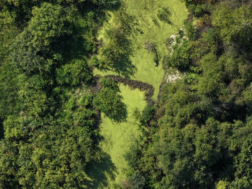 Фото из телеграм-канала Андрея Лотова
