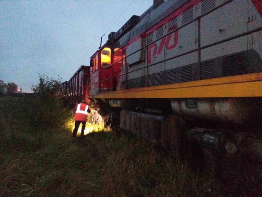 Фото: Центральное МСУТ СКР, t.me