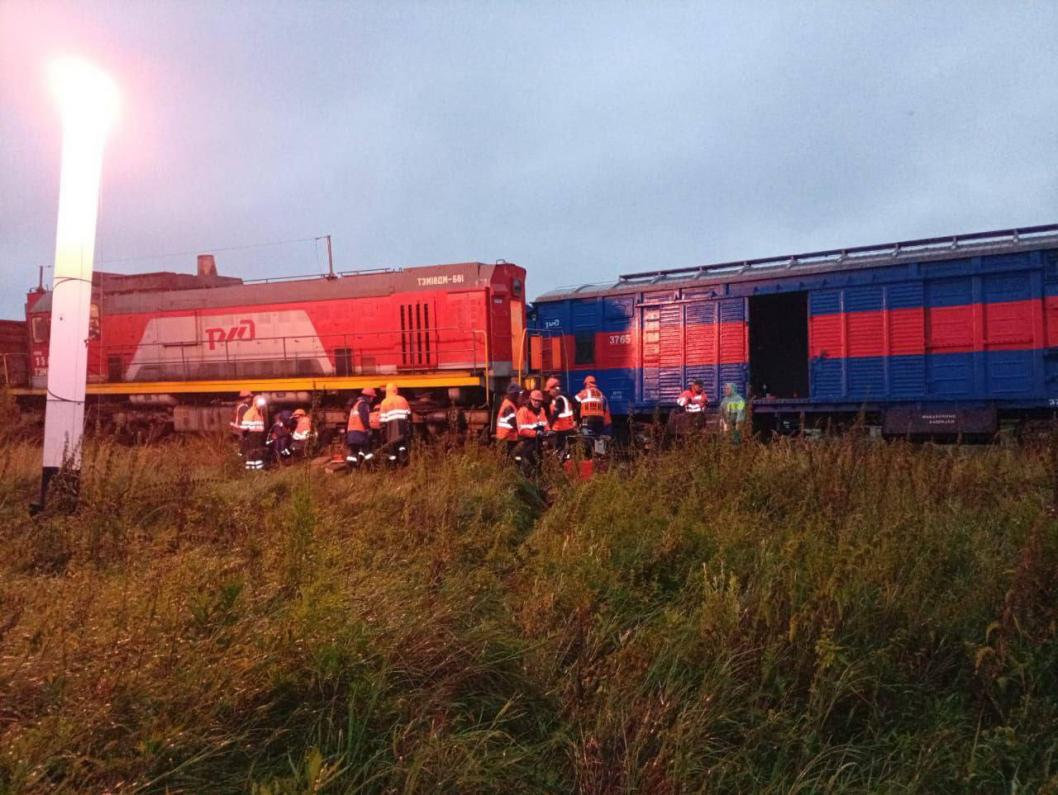 Фото: Центральное МСУТ СКР, t.me