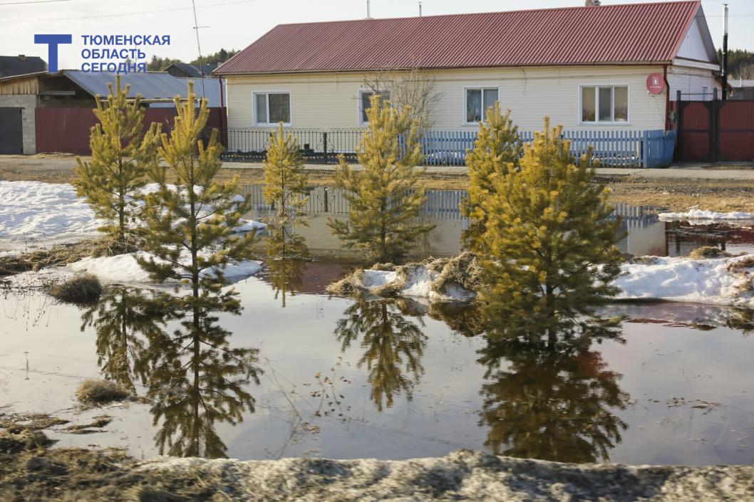 Фото Дениса Моргунова