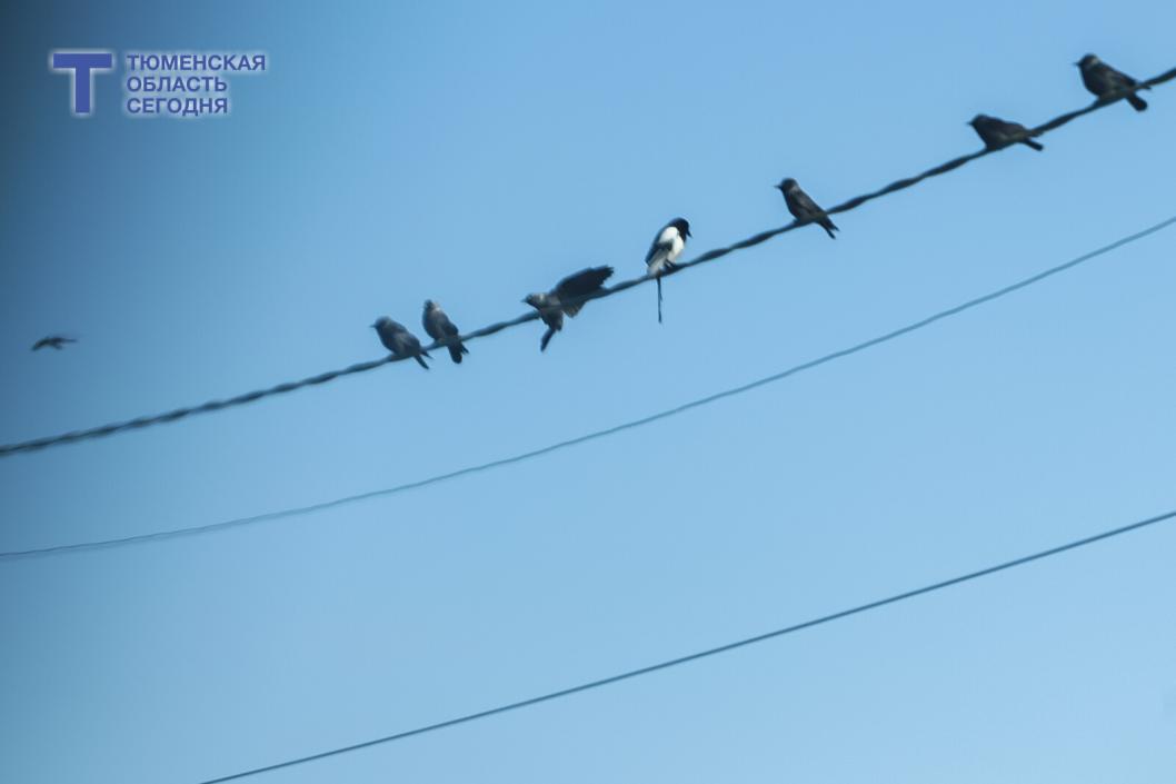 Фото Дениса Моргунова