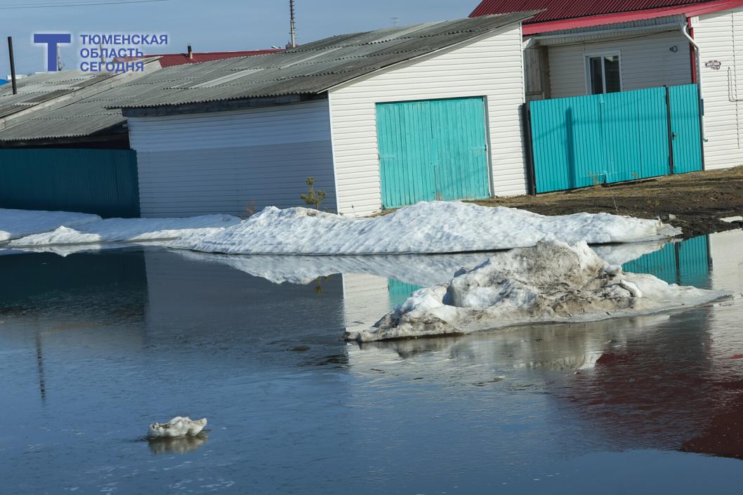 Фото Дениса Моргунова