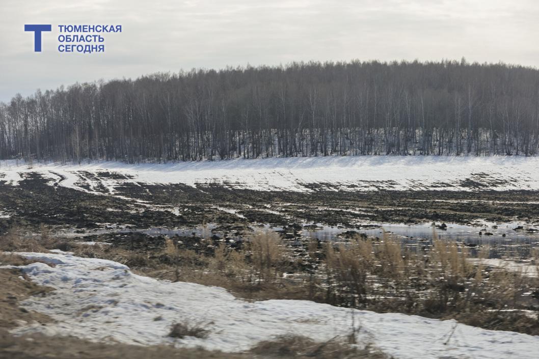 Фото Дениса Моргунова