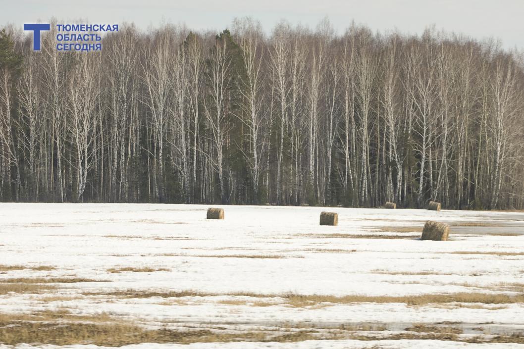 Фото Дениса Моргунова