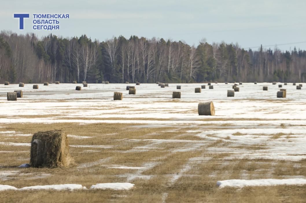 Фото Дениса Моргунова