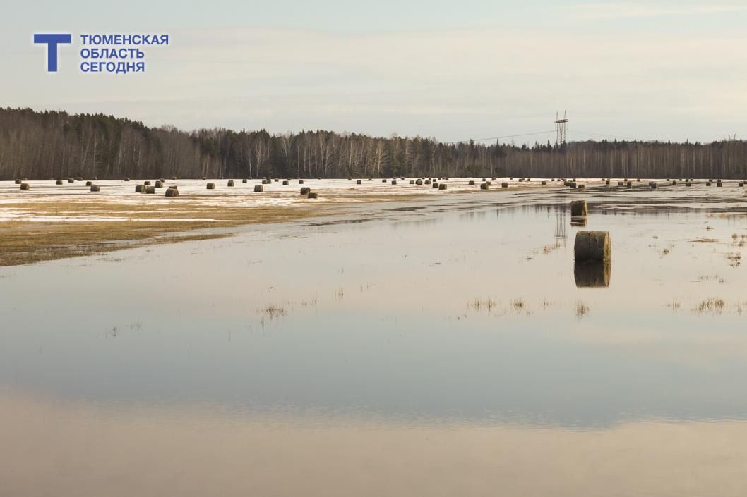 Фото Дениса Моргунова