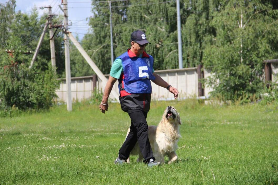 Фото федерации спортивно-прикладного собаководства Тюменской области, автор неизвестен