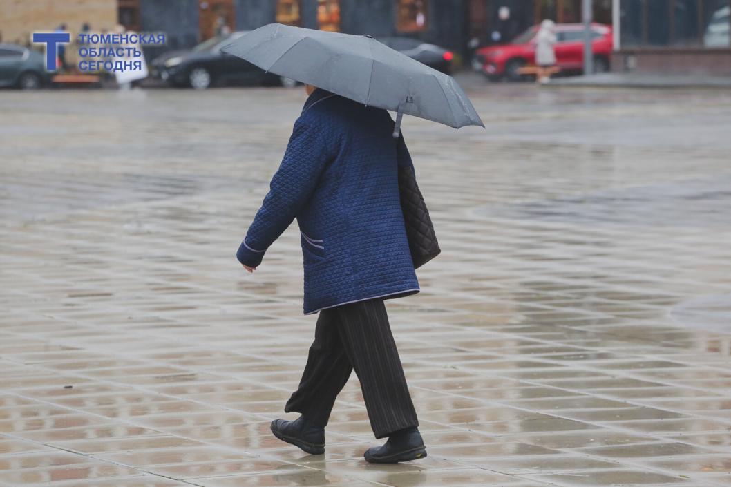 Илья Винштейн прогнозирует теплый апрель в Тюмени