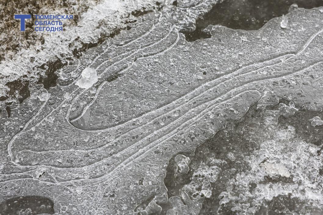 Фото Дениса Моргунова