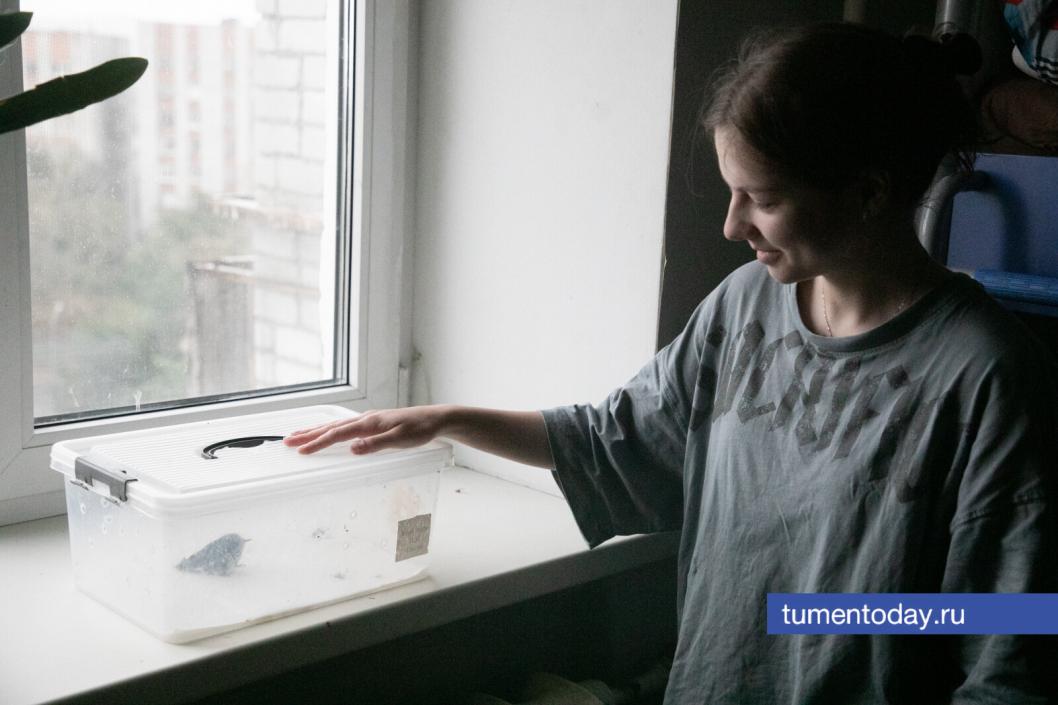 Фото Сергея Куликова