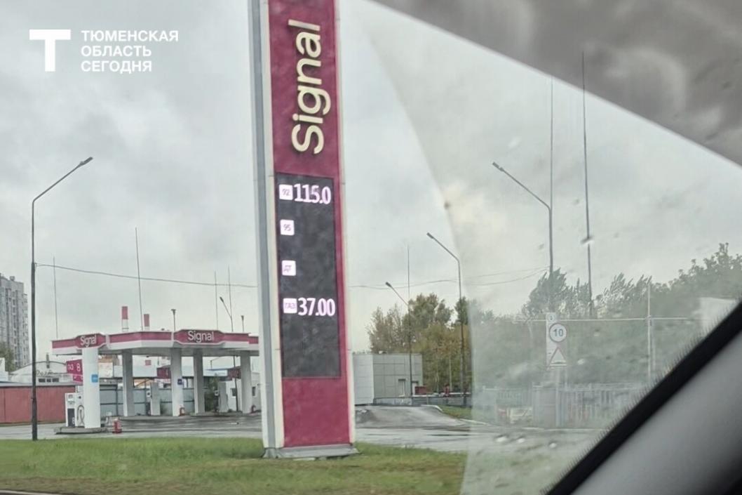Фото Елены Ковалевой