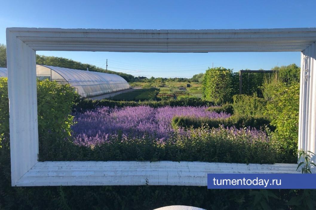 Ива-парк | Фото Елены Ковалевой