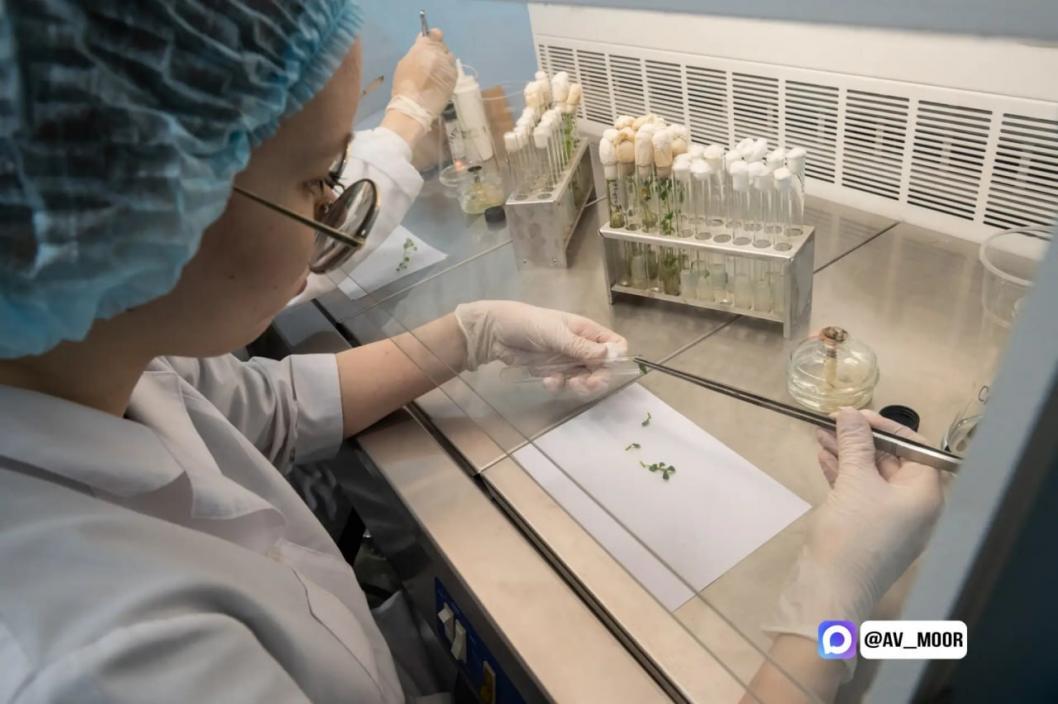 Фото из канала Александра Моора в МАХ, автор неизвестен