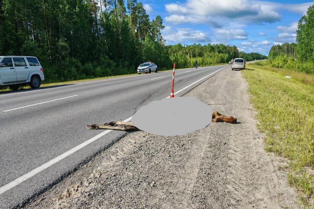 Фото прокуратуры Тюменской области